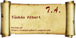 Tüskés Albert névjegykártya